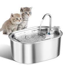 The Importance of Fresh Water for Pets