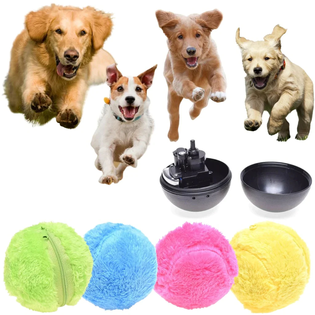 Shop Active Rolling Ball For Dog | Link's Basement