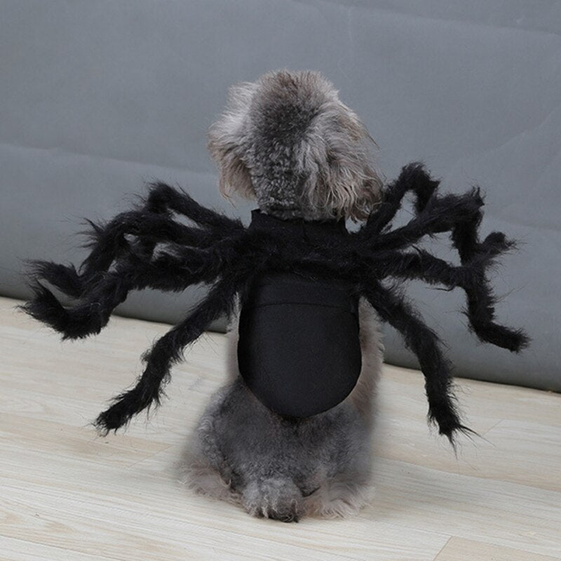 Spider Halloween Costume for Pets