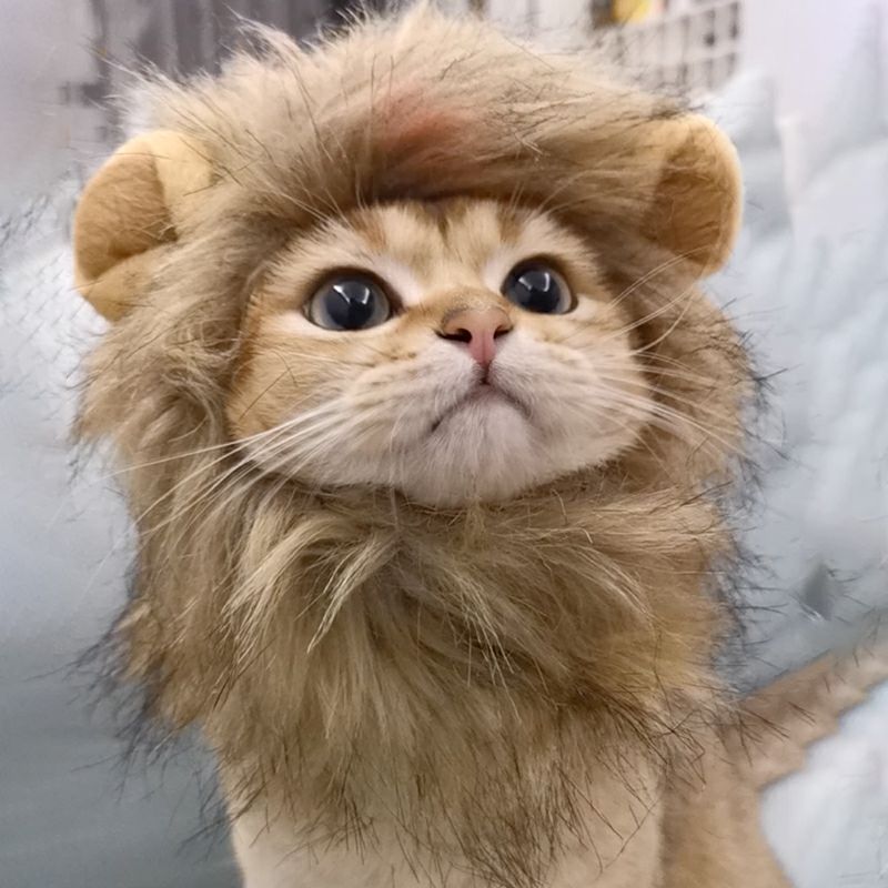 Primi Pets™ Lion Mane Cat Costume