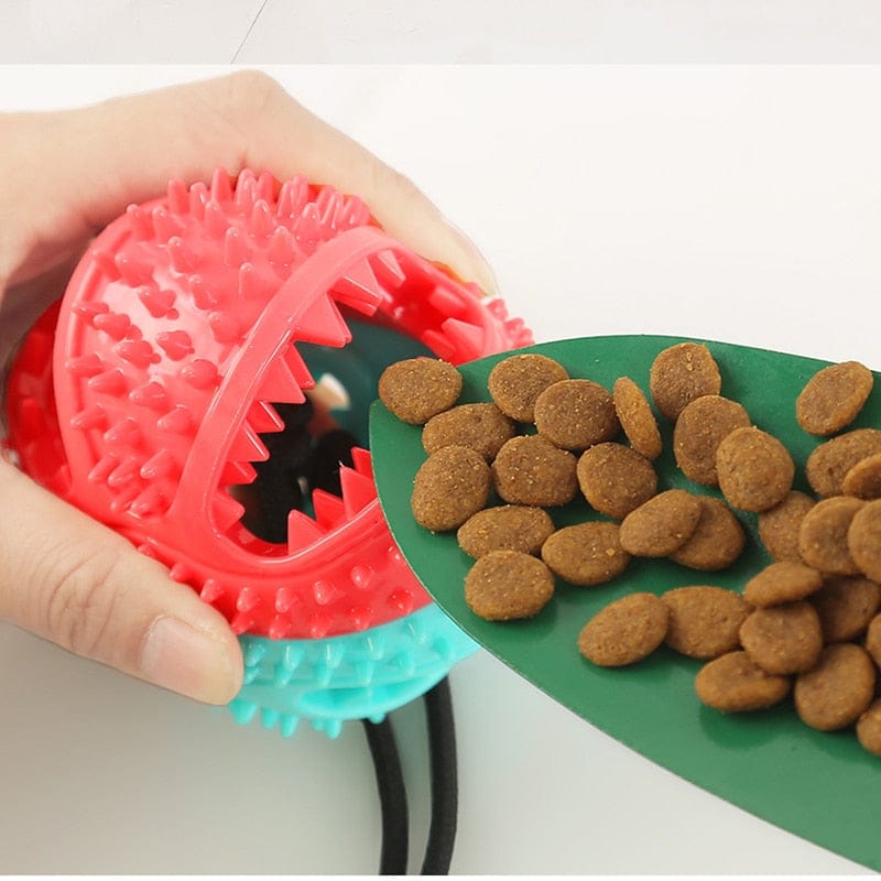 Silicone Dog Toy
