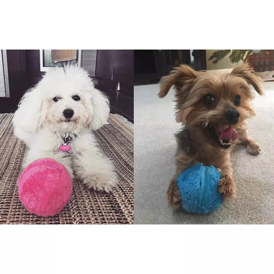 Shop Active Rolling Ball For Dog | Link's Basement