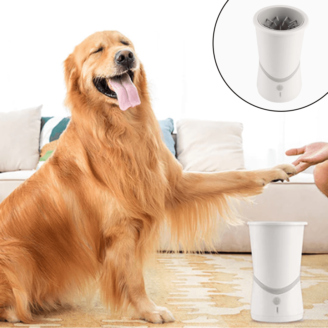 Shop Automatic Dog Paw Cleaner | Link's Basement
