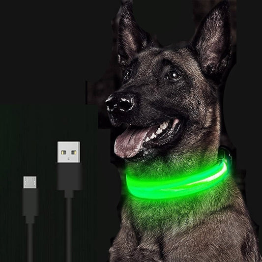 Shop Adjustable LED Pet Collar | Link's Basement