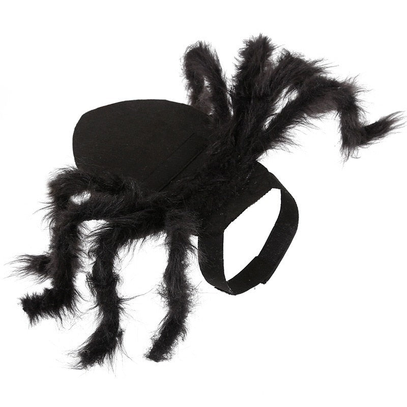 Spider Halloween Costume for Pets