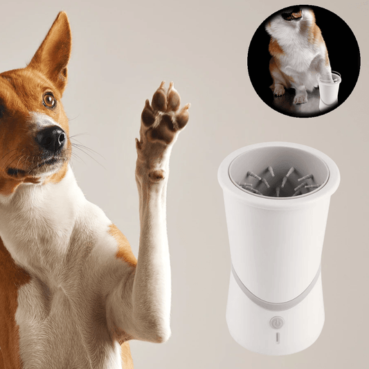 Shop Automatic Dog Paw Cleaner | Link's Basement