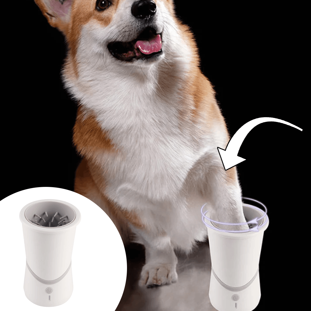 Shop Automatic Dog Paw Cleaner | Link's Basement