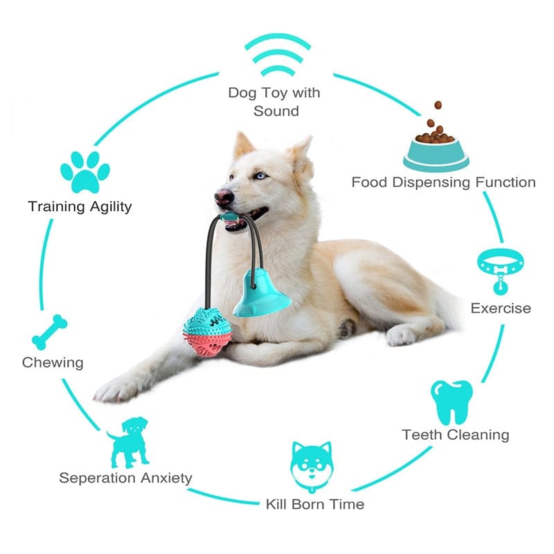 Silicone Dog Toy