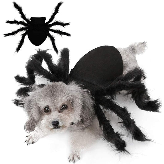 Spider Halloween Costume for Pets