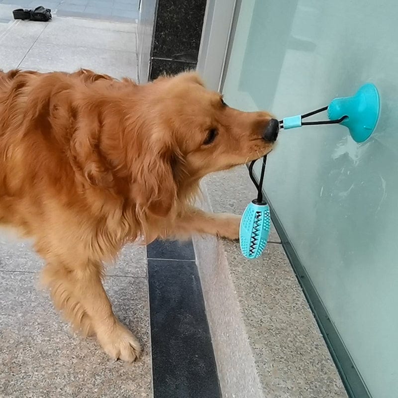 Silicone Dog Toy