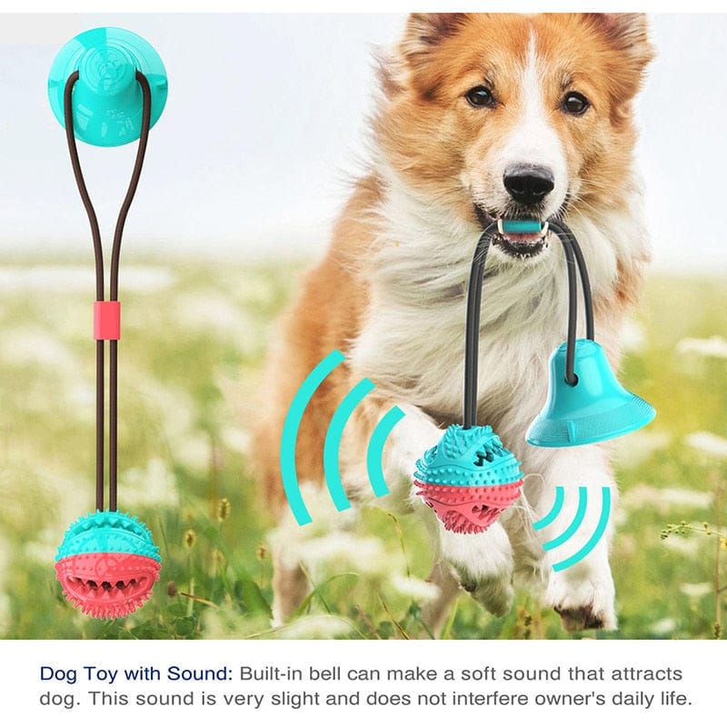 Silicone Dog Toy