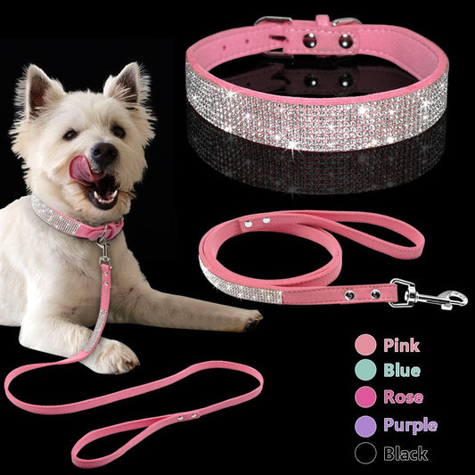 Pet Collar Leash Set